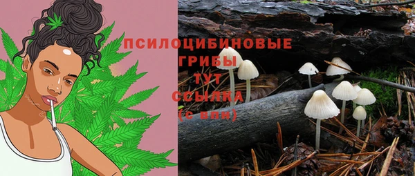 гашиш Арсеньев