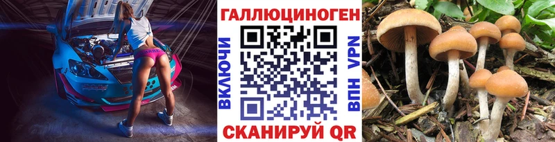Галлюциногенные грибы мицелий  Чистополь 